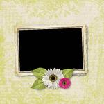 Thank_you_qm-p006-small