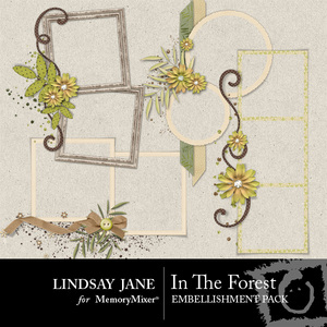 In_the_forest_frames-medium