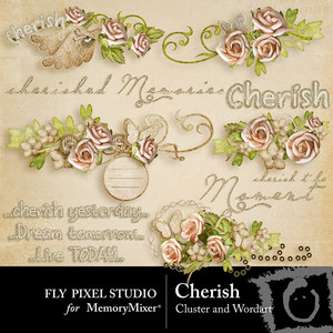 Cherish_wordart_and_clusters-medium