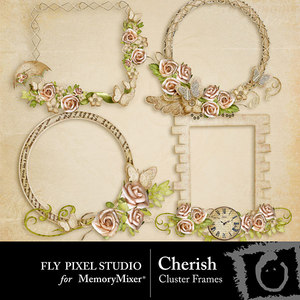 Cherish_cluster_frames-medium