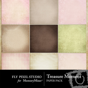 Treasure_moment_pp-medium