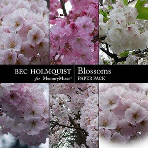 Blossoms_pp-medium