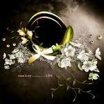 Nanas_qp_1-p001-small