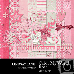 Color_my_world_rose_mini-medium