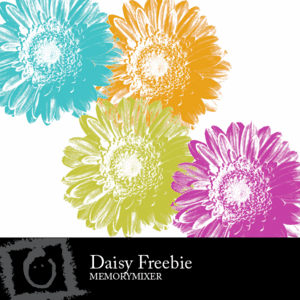 Daisy-freebie-medium