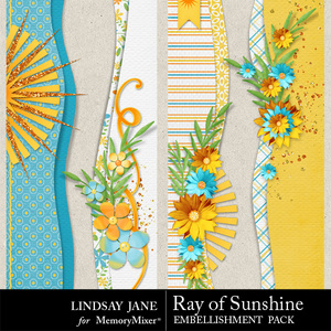 Ray_of_sunshine_borders-medium