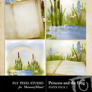 Princess_and_the_frog_scene_pp-medium