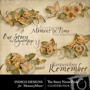 The_story_never_ends_clusters-medium