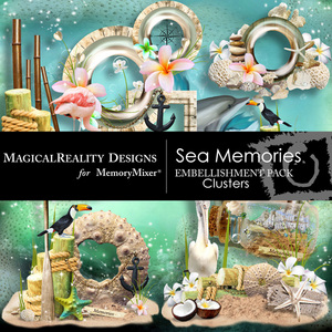 Sea_memories_mr_clusters-medium