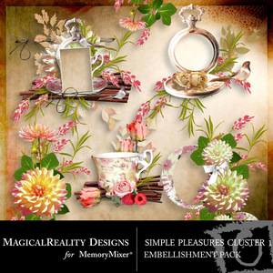 Simple_pleasures_clusters_1-medium