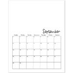 Pt_template-p010-small