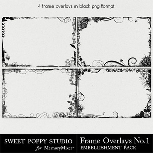 Frame-medium