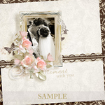Moments_of_tenderness_s_4-small