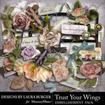 Trust Your Wings Embellishment Pack-$3.49 (Laura Burger)