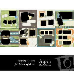 Aspenqm-medium