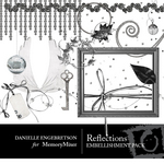 Reflectionsel-small