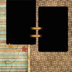 Fallis-p005-small