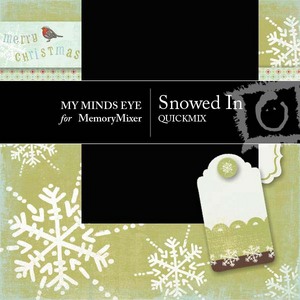 Snowed_in_1-1p001-medium