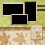 Little_pumpkin_patch-p004-small