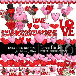 Love_birds-medium