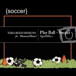 Play_ball_soccer_qm-medium