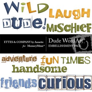 Dude_wordart_1-medium