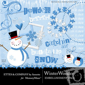Collagewinterwonderembellis-medium