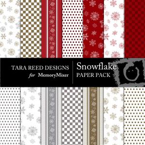 Snowflake_pp-p001-medium