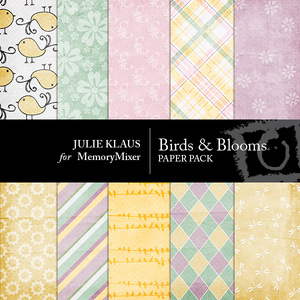 Folder-medium