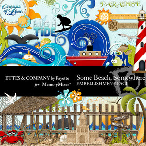 Somebeachsomewhereembellishments-medium