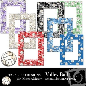 Volley_ball_emb-medium