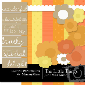 Little_things_june-medium