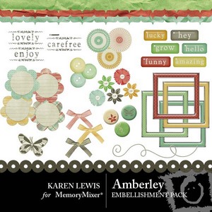Amberly_emb_copy-medium