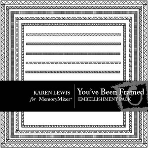 You_have_been_framed_copy-medium