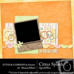 Citrus Splash QuickMix-$6.50 (Ettes and Company by Fayette)