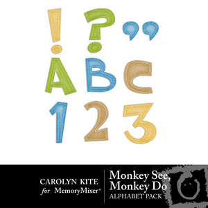 Monkey_see_monkey_do_alpha-medium