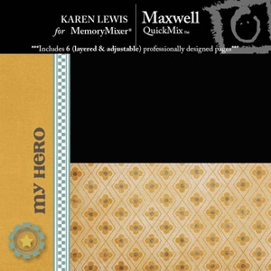 Maxwell-medium