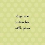 Puppy_tales-p027-small