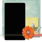 Citrus_tangerine-p004-small