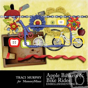 Tracimurphy-applebaskets_bikerides-elements-medium