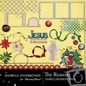 The_reason_emb-medium