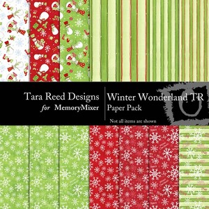 Winter_wonderland_tr_pp-medium