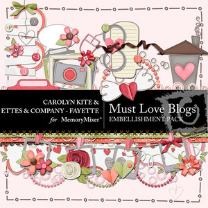 Must_love_blogs_emb-medium