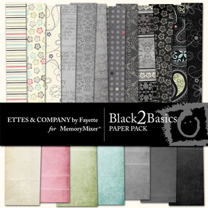 Black_2_basics_pp-medium