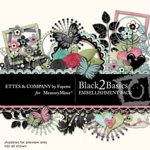 Black_2_basics_emb-medium