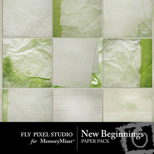 New_beginnings_fp_pp-medium