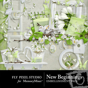 New_beginnings_fp_emb-medium