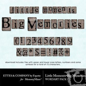 Little_moments_big_memories_alpha-medium