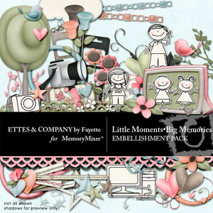 Little_moments_big_memories_emb-medium