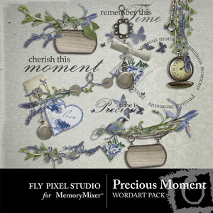 Precious_moment_wordart-medium